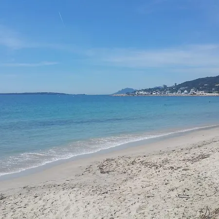 Les Pins Bleus Appartement