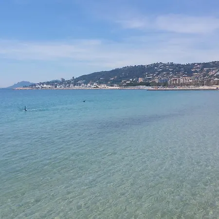Les Pins Bleus