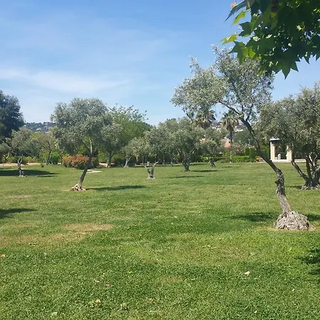 Les Pins Bleus Daire